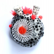 Broche